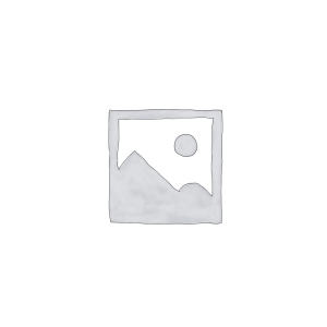 Switch-WSC1701
